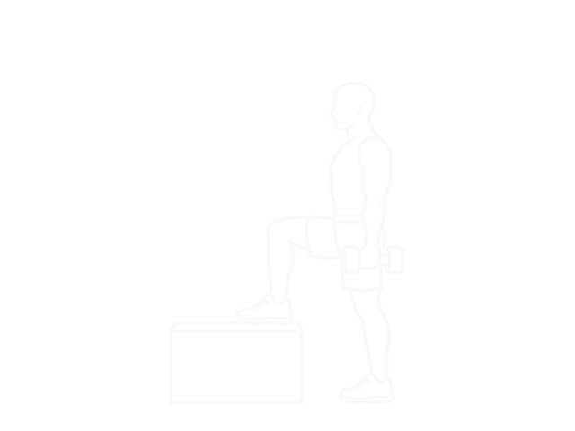 Dumbbell Step-Up — 시작