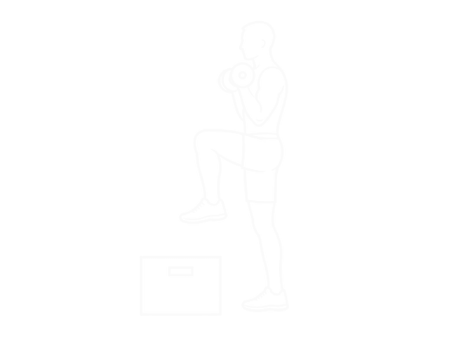 Dumbbell Step Up Single-Leg Balance with Biceps Curl — 끝