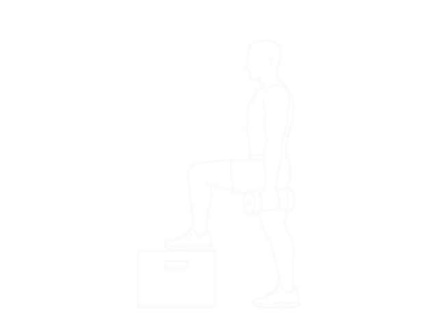 Dumbbell Step Up Single-Leg Balance with Biceps Curl — 시작