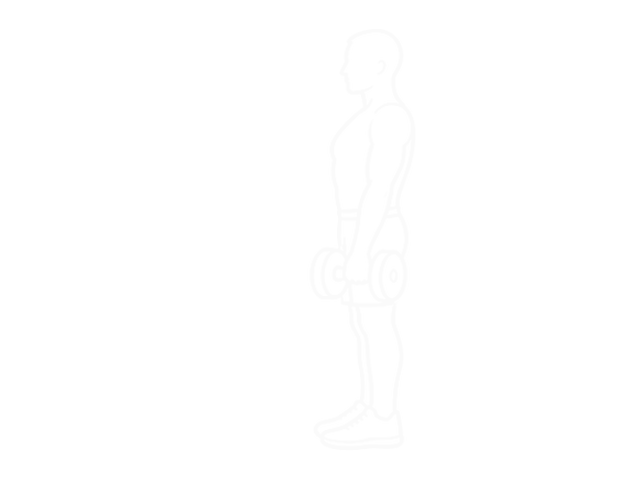 Dumbbell Straight Leg Deadlift — 시작