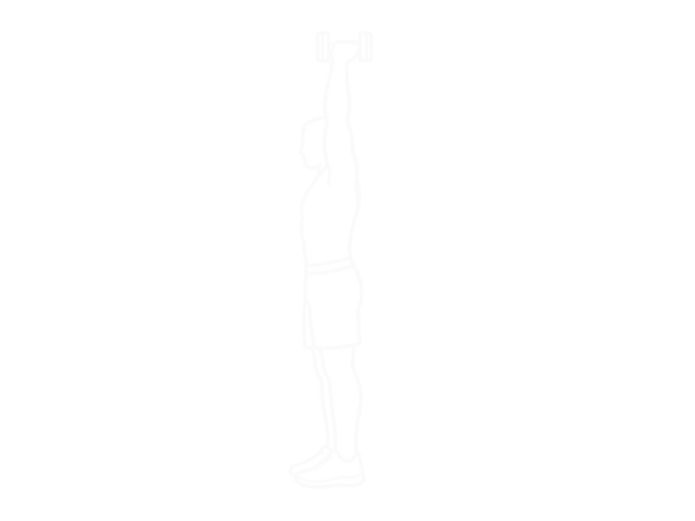 Dumbbell Supinated Triceps Extension — End