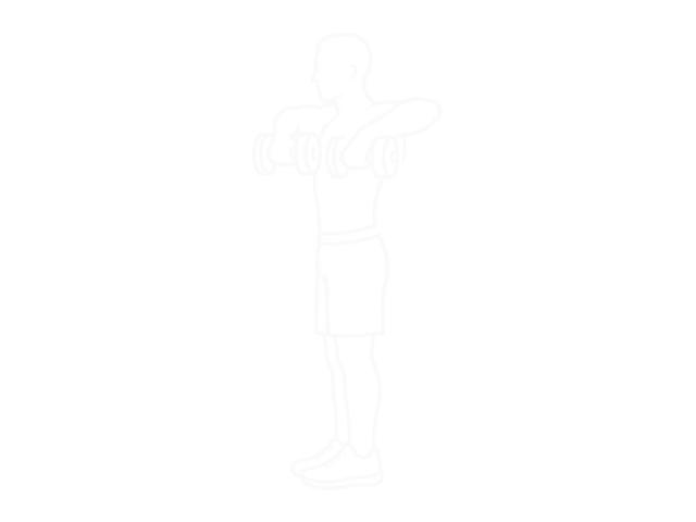 Dumbbell Upright Row — End