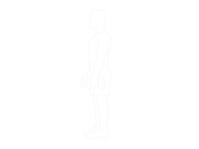 Dumbbell Upright Row — Start