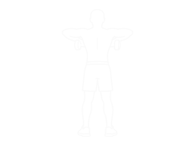 Dumbbell Upright Row (Back Pov) — End
