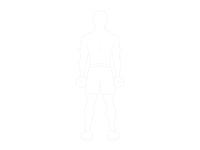 Dumbbell Upright Row (Back Pov) — Start