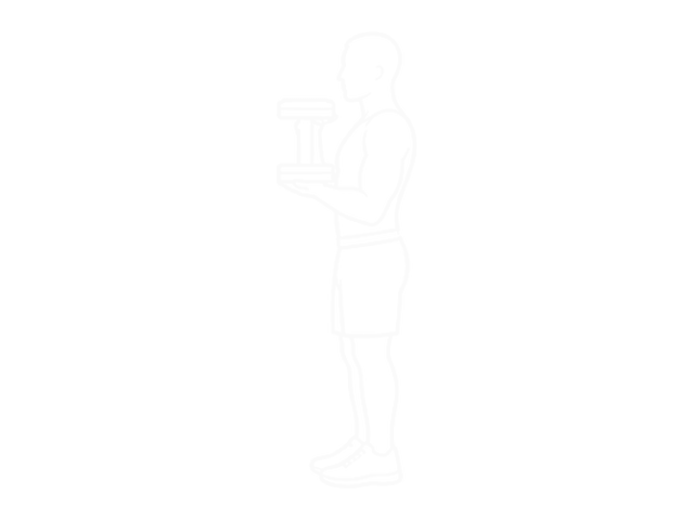 Dumbbell Waiter Biceps Curl — 끝