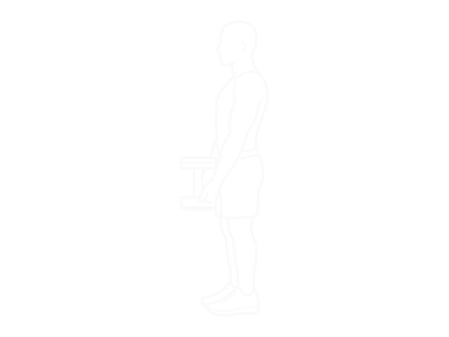 Dumbbell Waiter Biceps Curl — 시작