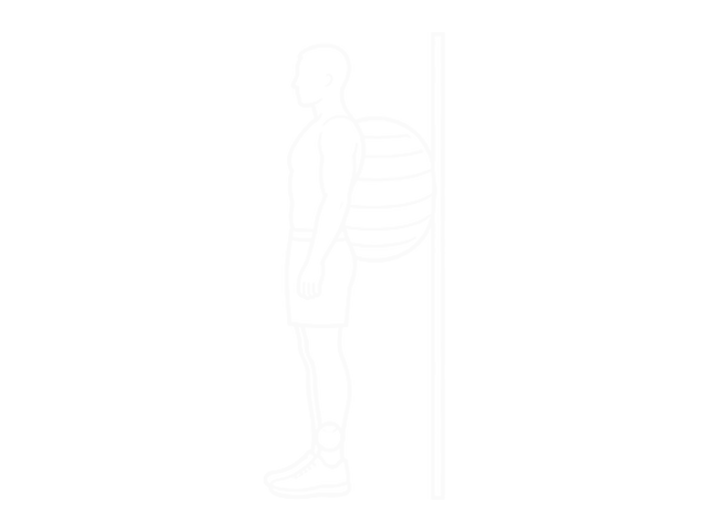 Exercise Ball on the Wall Calf Raise (Tennis Ball Between Ankles) — Start