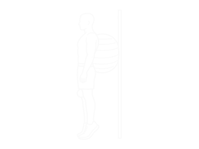 Exercise Ball on the Wall Calf Raise (Tennis Ball Between Knees) — End