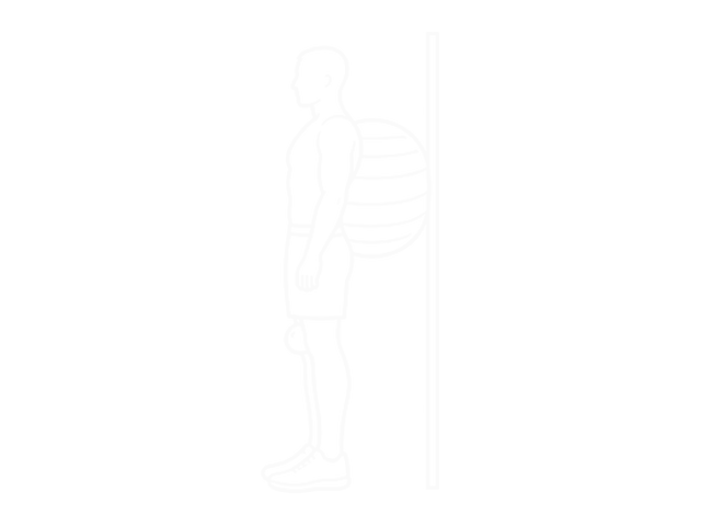 Exercise Ball on the Wall Calf Raise (Tennis Ball Between Knees) — Start