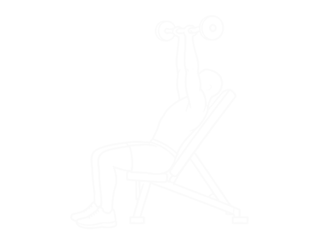 EZ Barbell Incline Triceps Extension — Start
