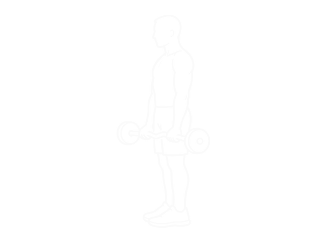 EZ-Barbell Standing Wide-Grip Biceps Curl — Start