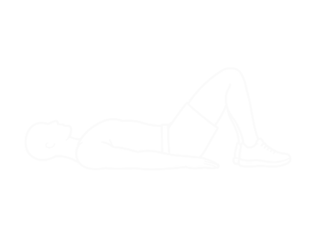 글루트 브리지 — 시작