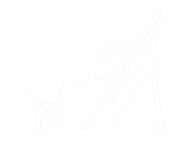 Hack Squat — 끝