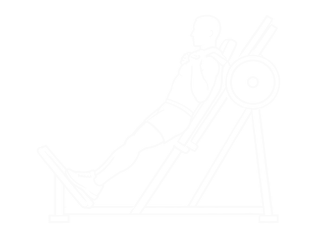 Hack Squat — 시작