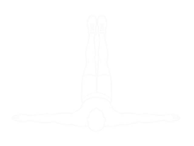 Iron Cross Stretch — Start