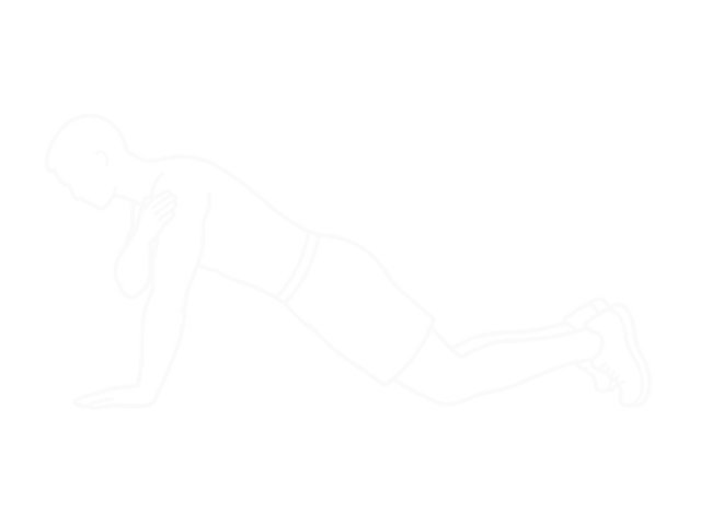 Kneeling Plank Tap Shoulder — End