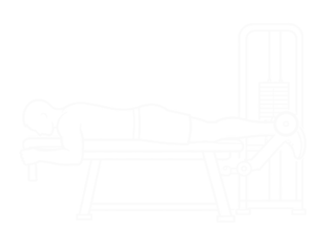 Leg Curl — 시작