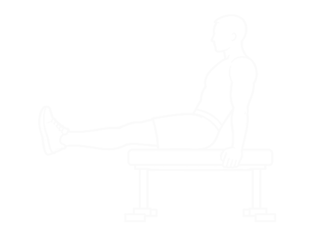 Leg Pull in Flat Bench — 시작