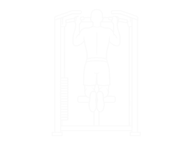 Assisted Chin-Up — 끝