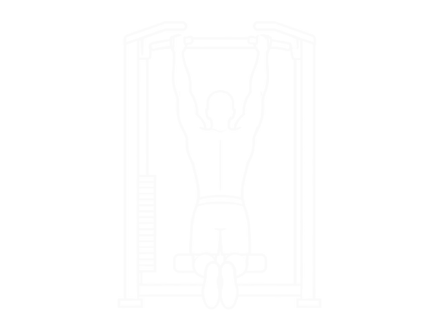 Assisted Chin-Up — 시작