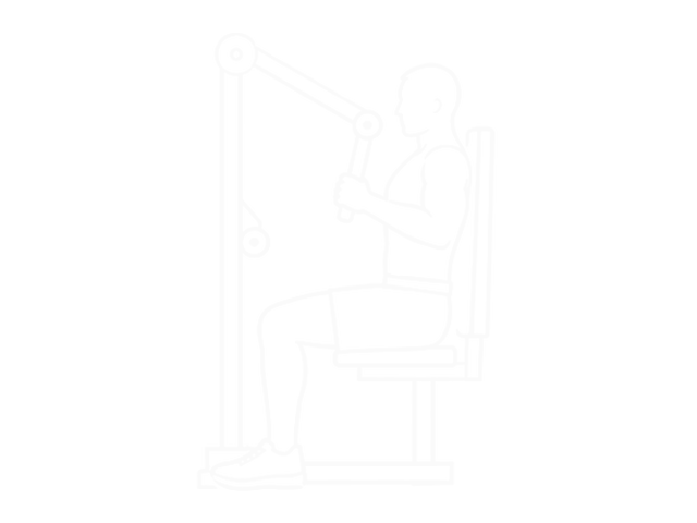 Chest Press — Start