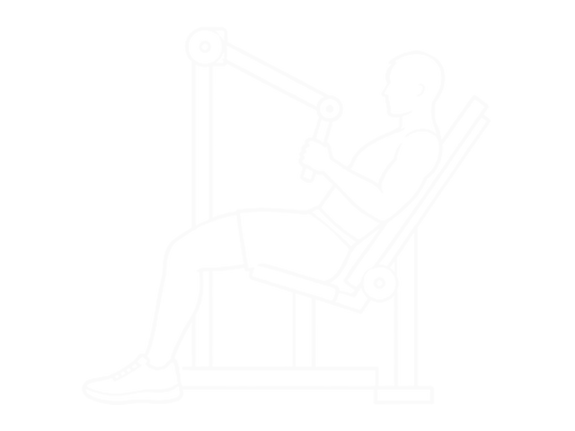Decline Chest Press — 시작