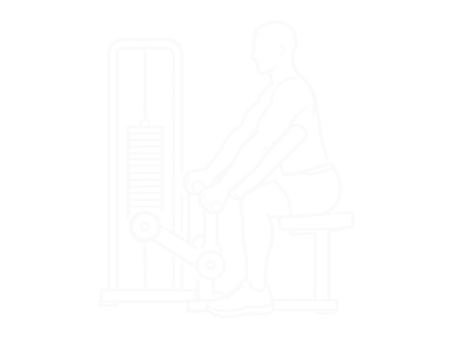 Hammer Grip Preacher Curl — 시작