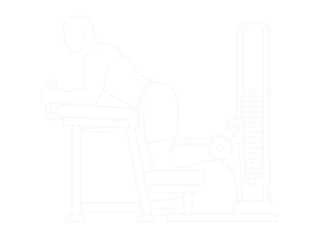 Kneeling Leg Curl — Start