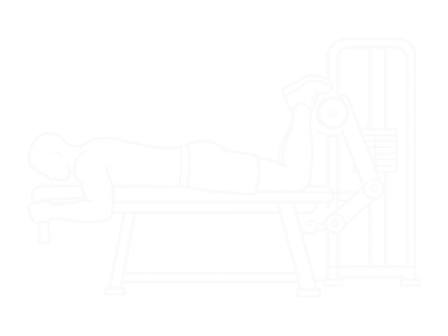 라잉 레그 컬 — 끝