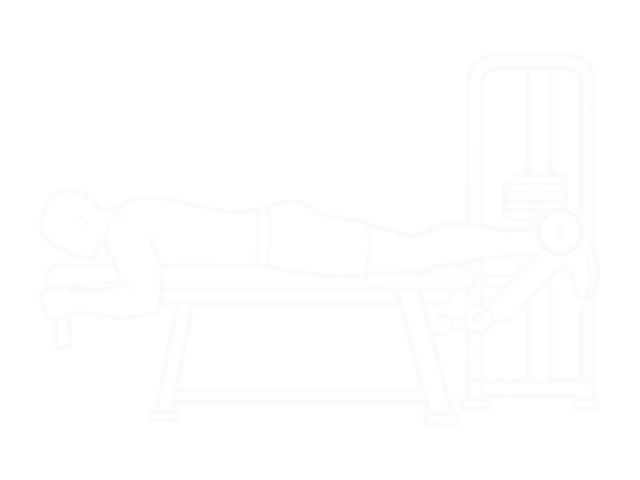 라잉 레그 컬 — 시작