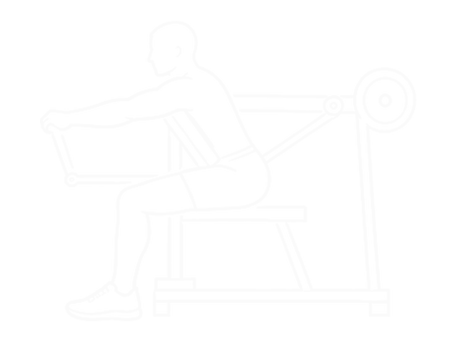 One-Arm Lateral High Row — 시작