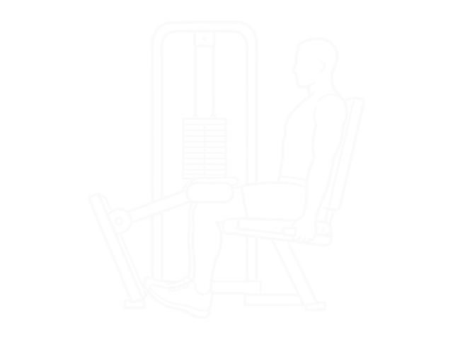 Seated Calf Press — Start