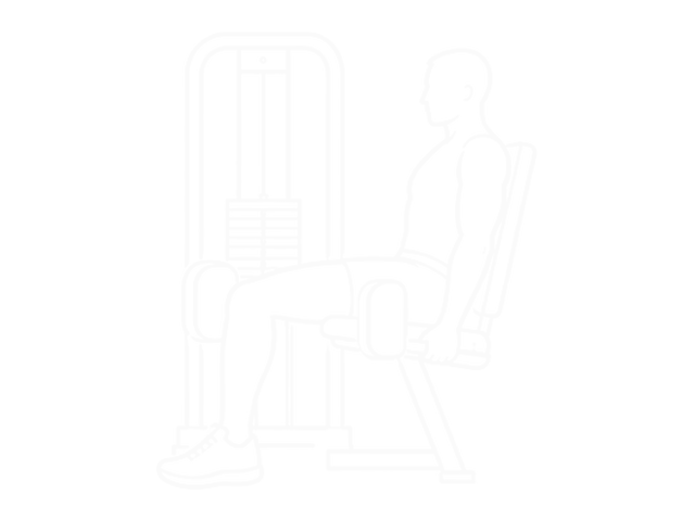 Seated Hip Adduction — 시작
