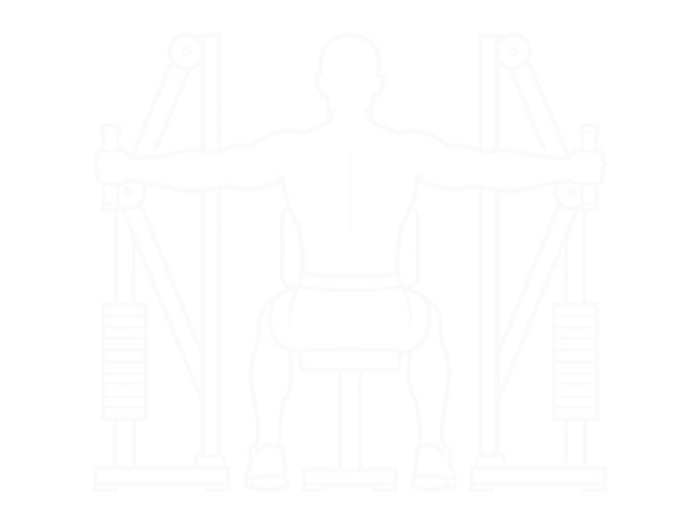 Seated Reverse Fly (Parallel Grip) — End