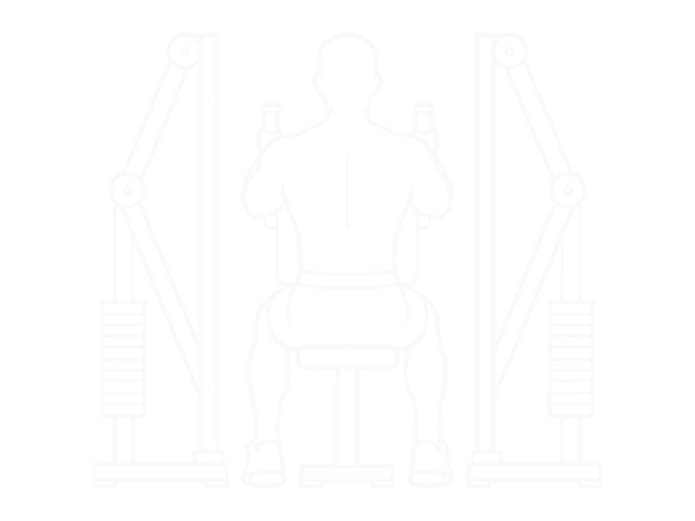 Seated Reverse Fly (Parallel Grip) — Start