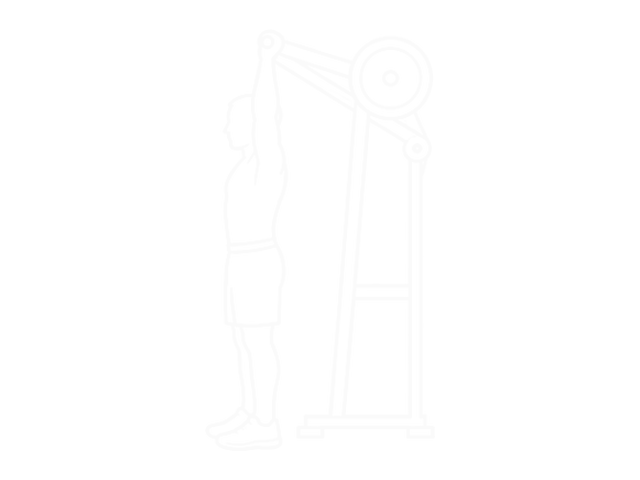 Lever Shoulder Press — End