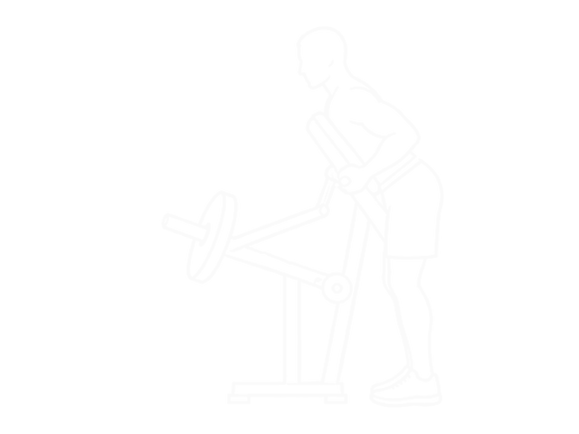 T-Bar Reverse-Grip Row — 끝