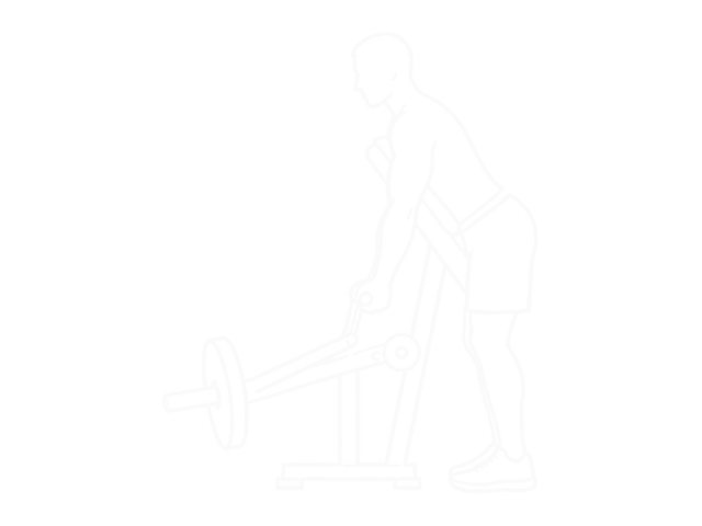 T-Bar Reverse-Grip Row — 시작