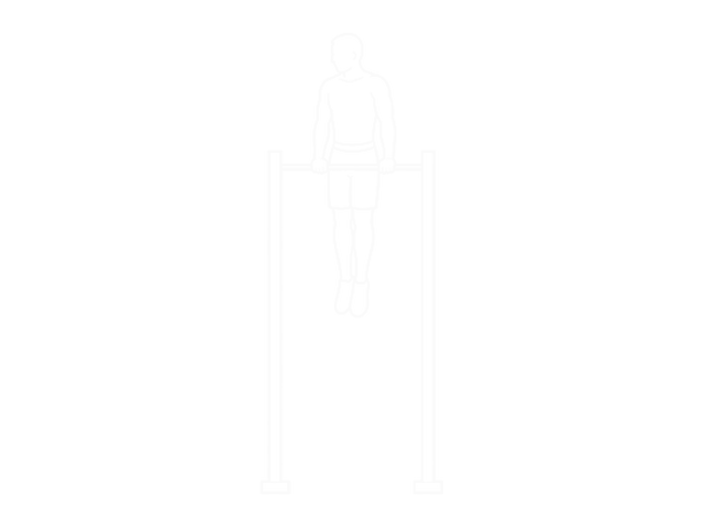 Muscle-Up (On Vertical Bar) — 끝