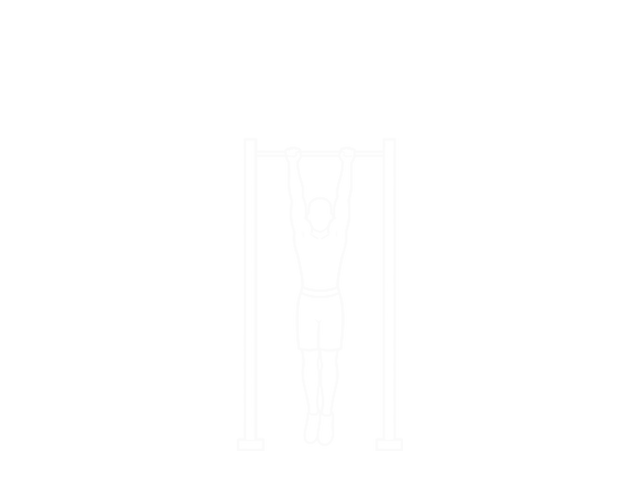 Muscle-Up (On Vertical Bar) — 시작