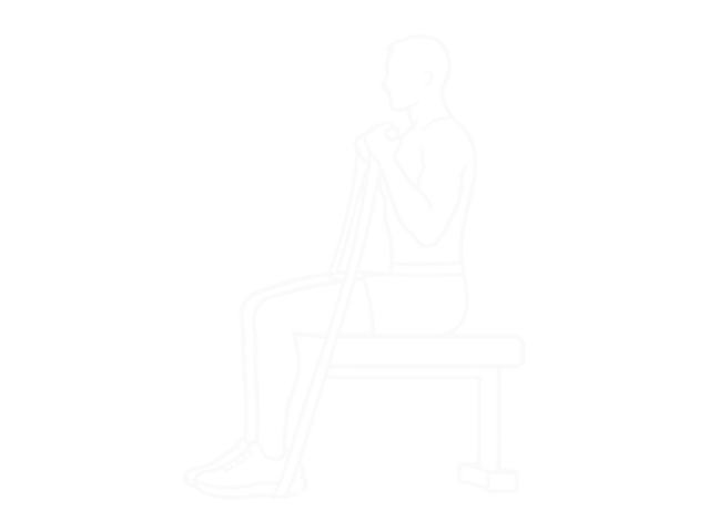 Resistance Band Seated Biceps Curl — End
