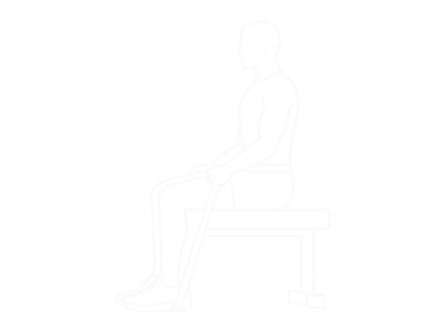 Resistance Band Seated Biceps Curl — Start