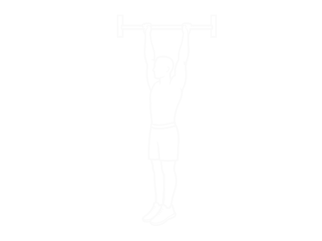 Scapular Pull-Up — 끝