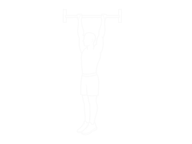Scapular Pull-Up — 시작