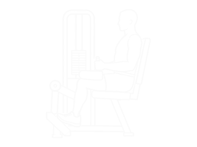 Seated Calf Raise — End