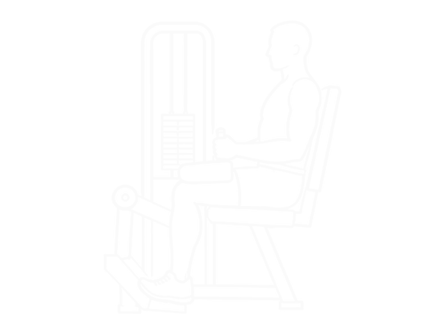 Seated Calf Raise — Start