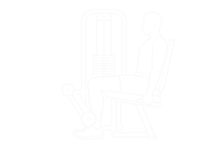 Seated Leg Curl — End