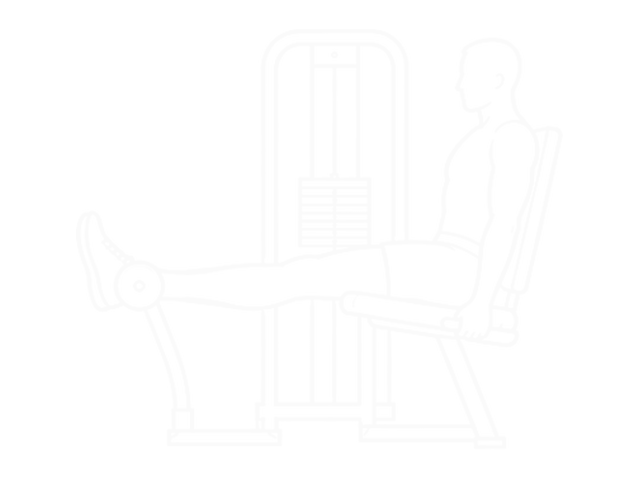 Seated Leg Curl — Start