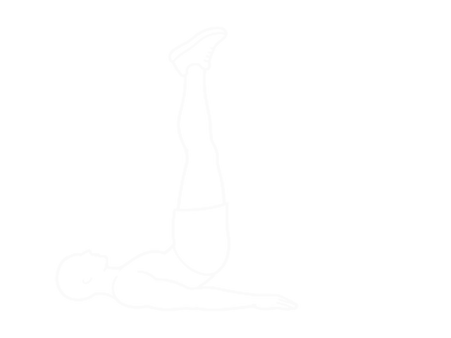 Seated Leg Raise — 끝